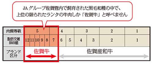 ブランド牛「佐賀牛」を贅沢に使用